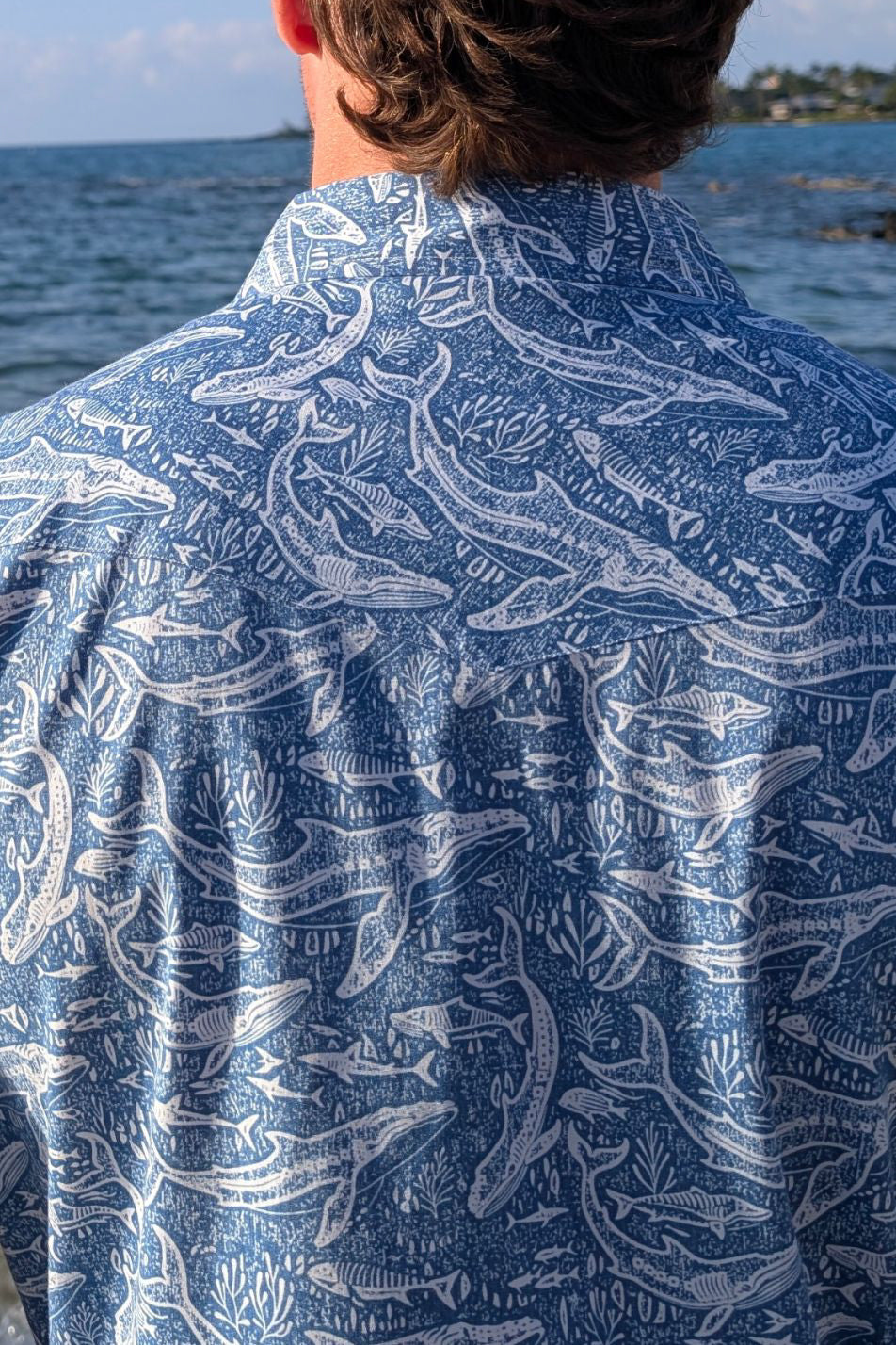 Humpbacks and Tigers