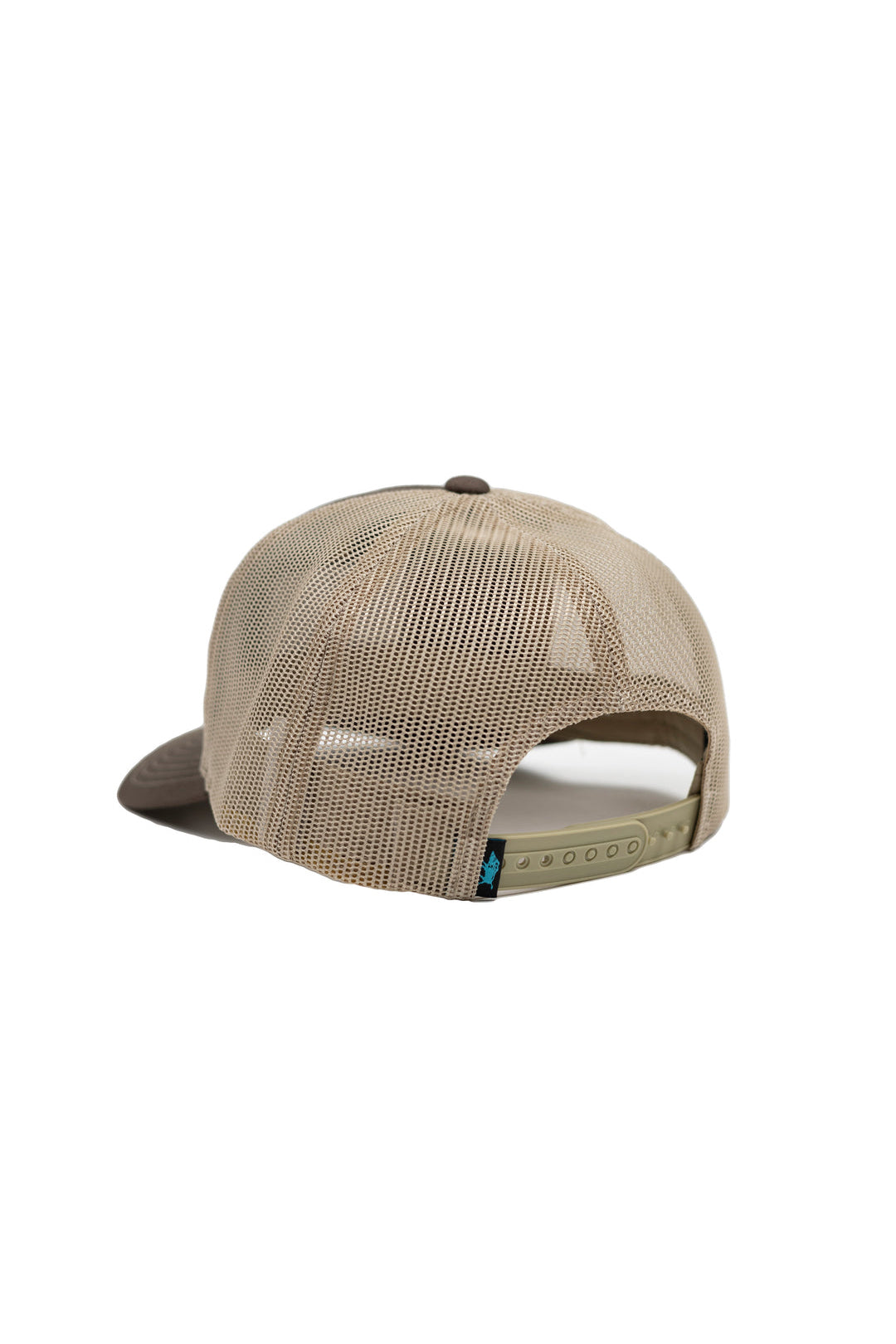 Surfing Boar Patch Snapback