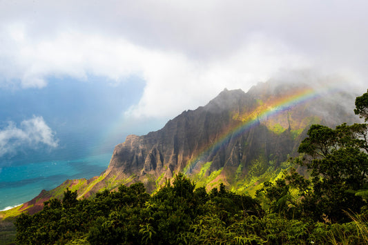 Hurricane Lowell Relief Resources for Kauaʻi + Lānaʻi