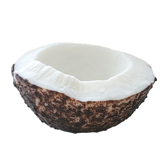 Coconut Shell Soap